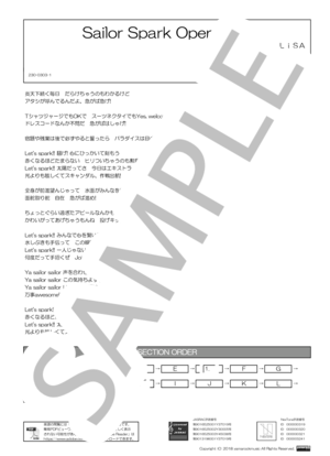 Sailor Spark Operation!