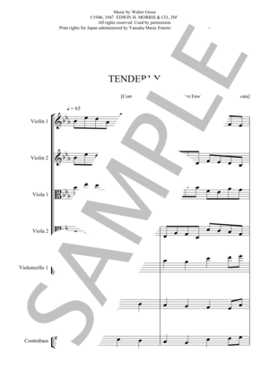 TENDERLY　テンダリー