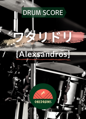 【初心者応援キャンペーン】ワタリドリ ドラム 中級