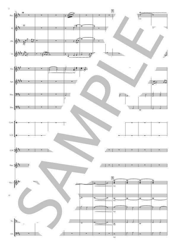 澄み渡る夜空のように (佐川・ヒジリ) / オーケストラ 初〜中級 - サンプル譜面 2/5