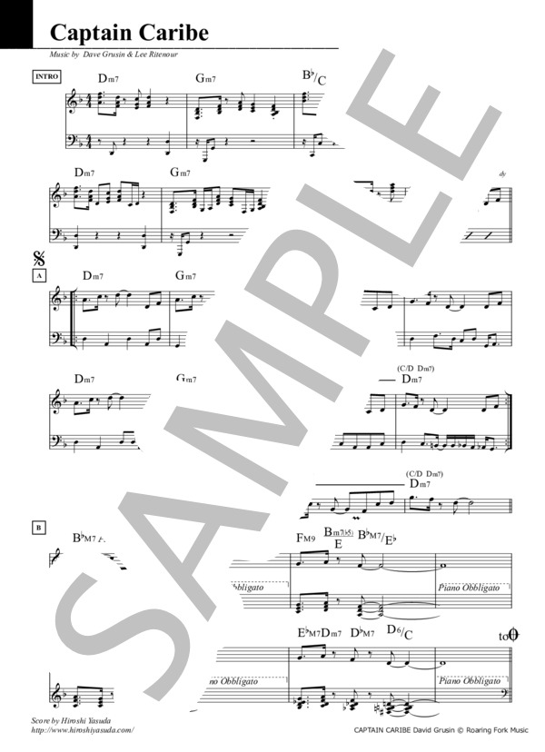 Captain Caribe (Key=Dm) / キャプテン・カリブ / フュージョン・スタンダード・ライブラリ (Sheet Music) (リー・リトナー) / メロディ その他 - サンプル譜面 1/2