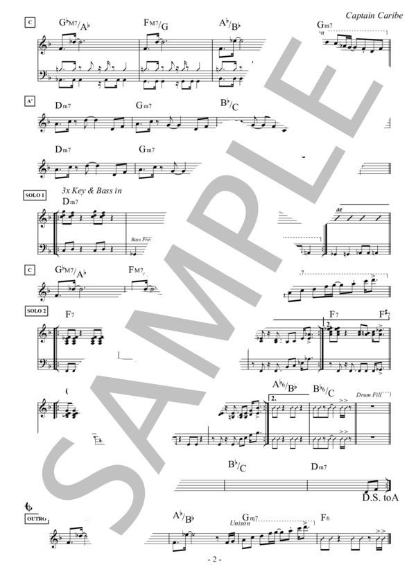 Captain Caribe (Key=Dm) / キャプテン・カリブ / フュージョン・スタンダード・ライブラリ (Sheet Music) (リー・リトナー) / メロディ その他 - サンプル譜面 2/2