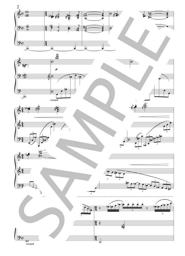 ピアノソナタ第1番 (福田 陽) / ピアノソロ 上級 - サンプル譜面 3/5