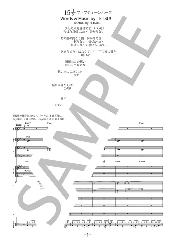 楽譜】15 1 / 2 フィフティーンハーフ / TETSU69 バンドスコア / TETSU