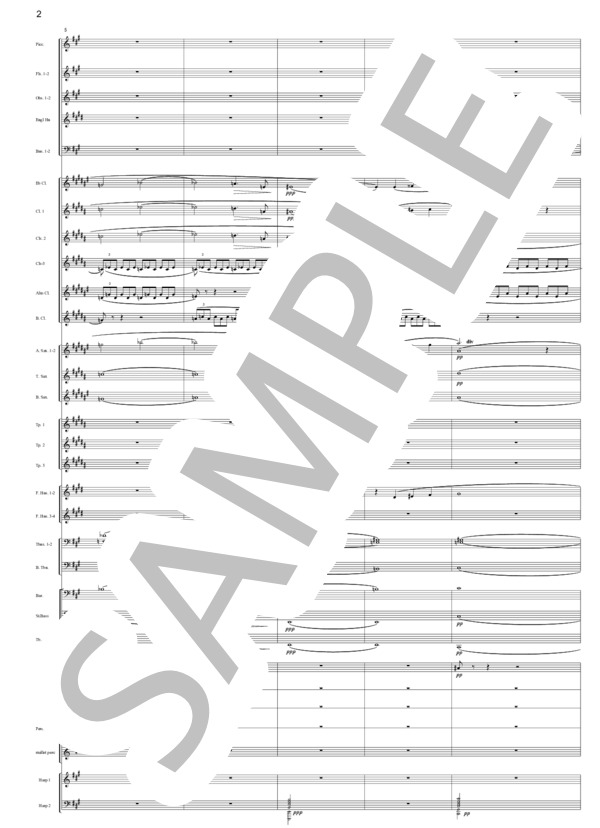 歌劇「火の災い」より 愛の情景(Rシュトラウス）（吹奏楽編曲） (リヒャルト・シュトラウス) / アンサンブル打楽器 上級 - サンプル譜面 2/5