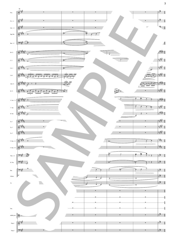 歌劇「火の災い」より 愛の情景(Rシュトラウス）（吹奏楽編曲） (リヒャルト・シュトラウス) / アンサンブル打楽器 上級 - サンプル譜面 3/5