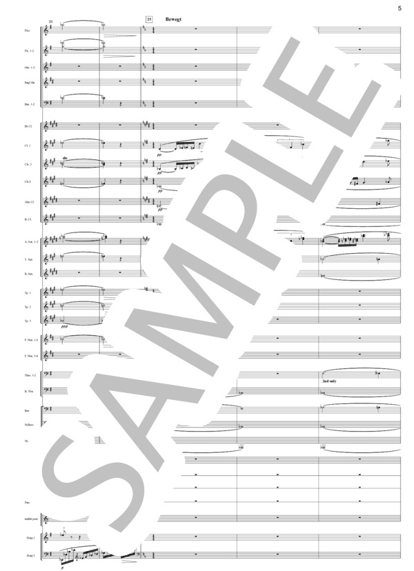 歌劇「火の災い」より 愛の情景(Rシュトラウス）（吹奏楽編曲） (リヒャルト・シュトラウス) / アンサンブル打楽器 上級 - サンプル譜面 5/5