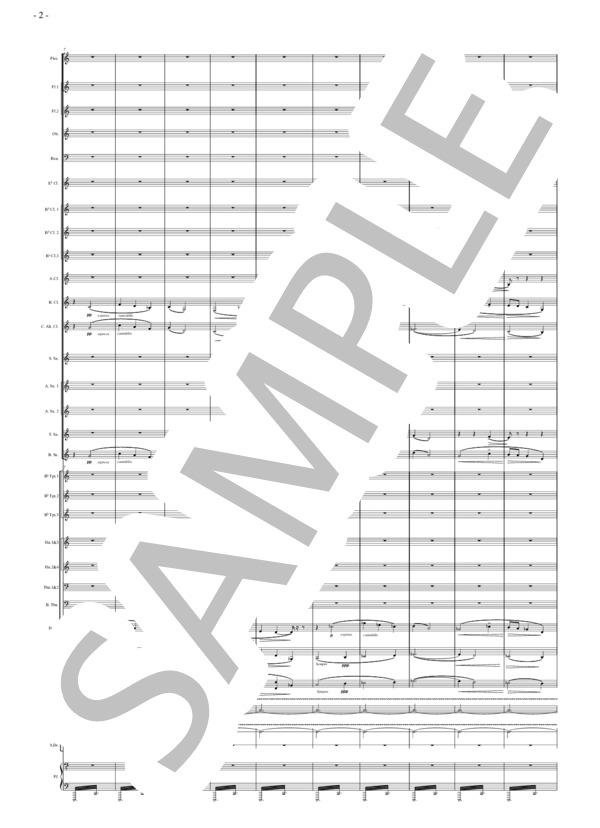 組曲「ハーリ・ヤーノシュ」より 前奏曲(Z.コダーイ）（吹奏楽編曲） (ゾルターン・コダーイ) / 吹奏楽パート その他 - サンプル譜面 2/5