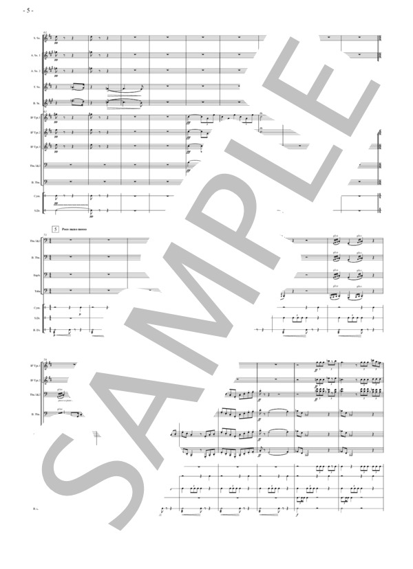 組曲「ハーリ・ヤーノシュ」より 戦争とナポレオンの敗北(Z.コダーイ）（吹奏楽編曲） (ゾルターン・コダーイ) / 吹奏楽パート その他 - サンプル譜面 5/5