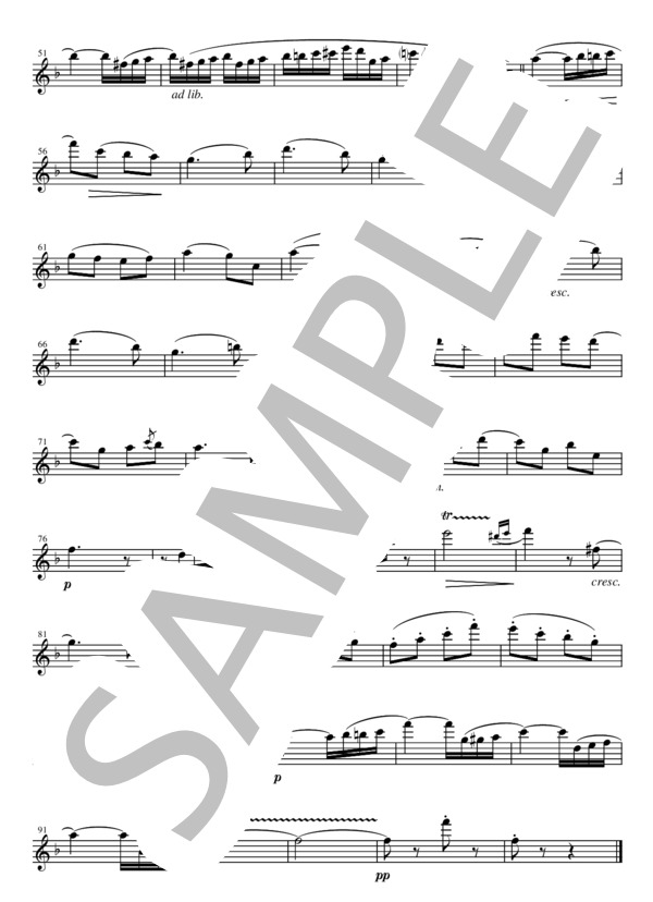 FT002 春の歌  / メンデルスゾーン：フルート三重奏(2Flutes,Alto-Flute) (フェリックス・メンデルスゾーン) / アンサンブル木管 その他 - サンプル譜面 2/5