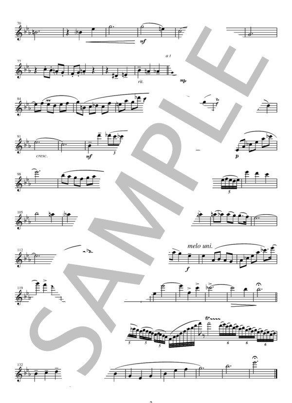 FVC009 ノクターン第2番 作品9-2 / ショパン：フルート、バイオリン、チェロの三重奏 (フレデリック・ショパン) / ヴァイオリン その他 - サンプル譜面 2/5