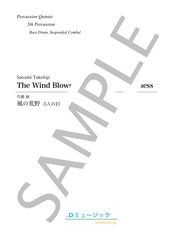 風の荒野 -5人の打楽器奏者のために[打楽器5重奏](Percussion 5) (竹藤 敏) / アンサンブル打楽器 中〜上級 - サンプル譜面 1/5