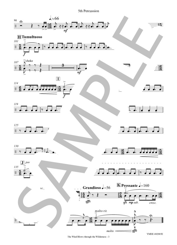 風の荒野 -5人の打楽器奏者のために[打楽器5重奏](Percussion 5) (竹藤 敏) / アンサンブル打楽器 中〜上級 - サンプル譜面 5/5