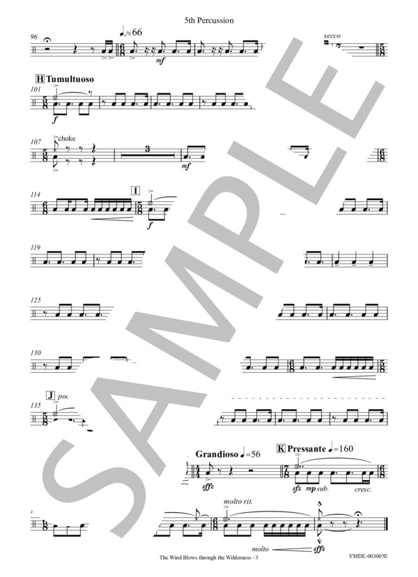 風の荒野 -6人の打楽器奏者のために[打楽器6重奏](Percussion 5) (竹藤 敏) / アンサンブルパート 中〜上級 - サンプル譜面 5/5