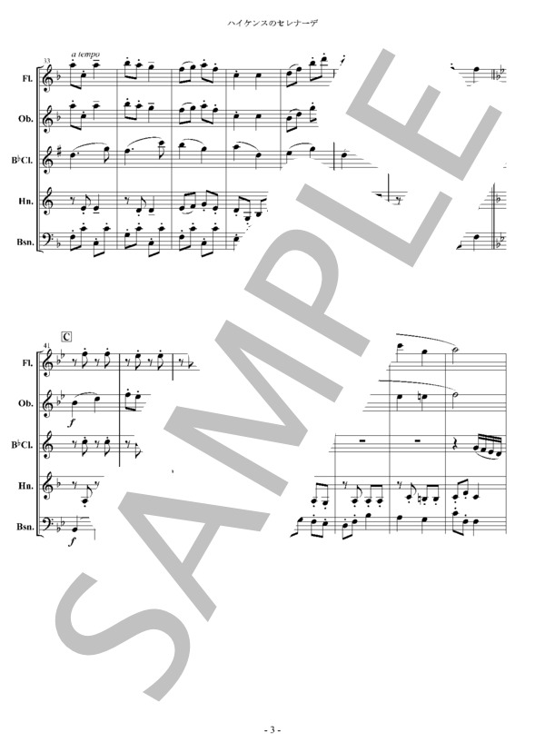 ハイケンスのセレナーデ木管五重奏 / アンサンブル木管 その他 - サンプル譜面 3/5