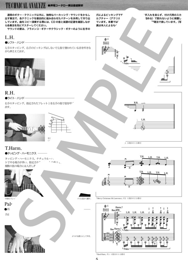ティコ（オフィシャル・ギタースコア） (押尾 コータロー) / ギターソロ 中〜上級 - サンプル譜面 5/5