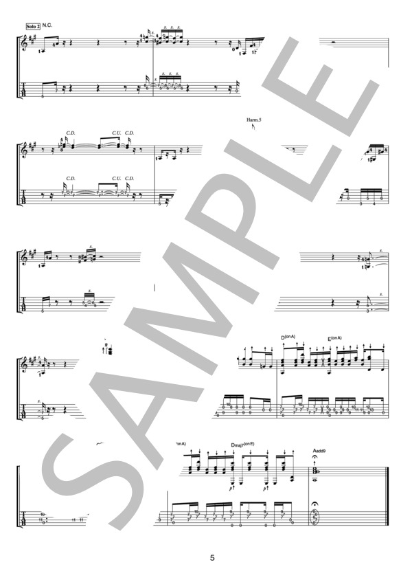 Carnival(オフィシャル・ギタースコア） (押尾 コータロー) / ギターソロ 中〜上級 - サンプル譜面 5/5