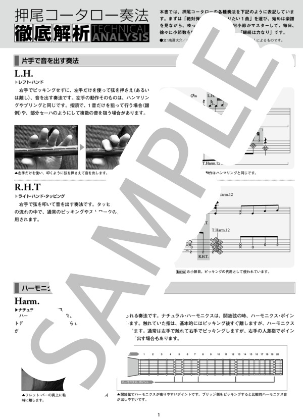 Eternal Chain奏法解析 (押尾 コータロー) / ギターソロ 中〜上級 - サンプル譜面 1/5