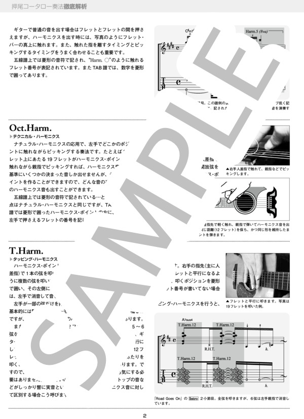 Eternal Chain奏法解析 (押尾 コータロー) / ギターソロ 中〜上級 - サンプル譜面 2/5