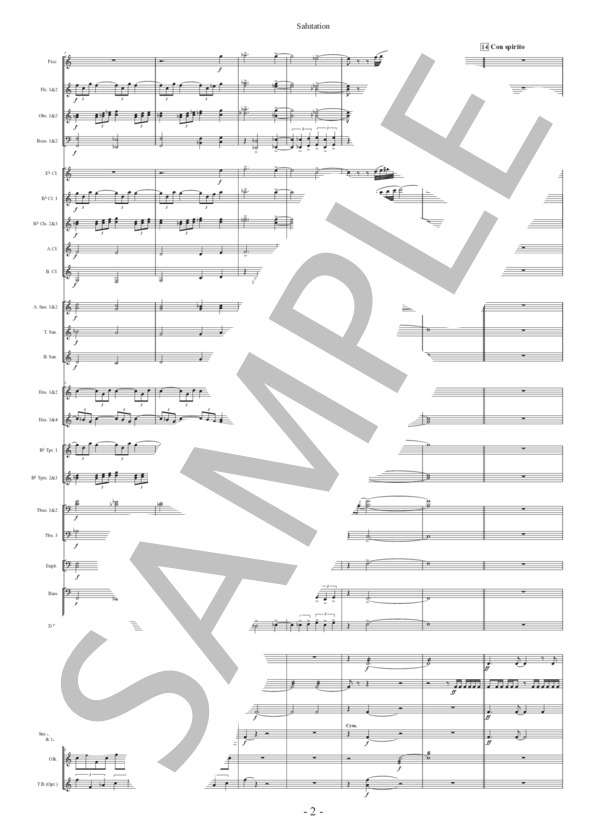 【吹奏楽】行進曲「サリューテイション」（フルスコアのみ) 作曲：正門研一 (正門 研一) / 吹奏楽パート その他 - サンプル譜面 4/5
