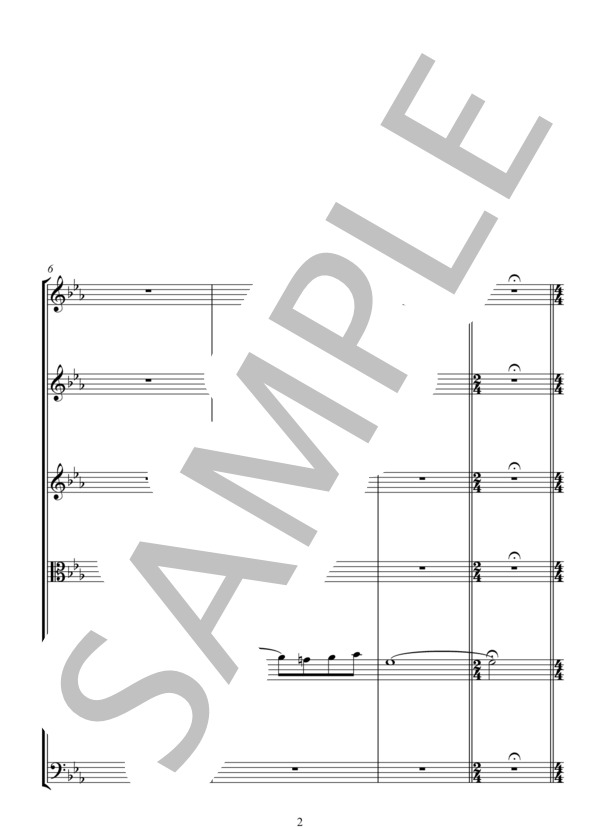 シータの決意 天空の城ラピュタ(Castle in the Sky)から (久石 讓) / アンサンブル弦楽 中〜上級 - サンプル譜面 2/5