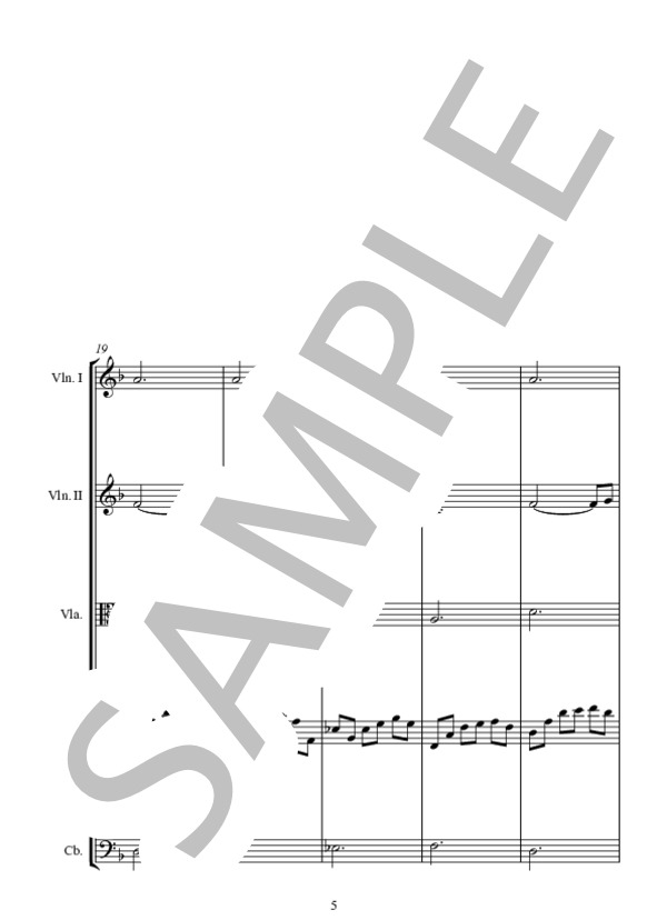 WATERMARK (ENYA) / アンサンブル弦楽 中〜上級 - サンプル譜面 5/5