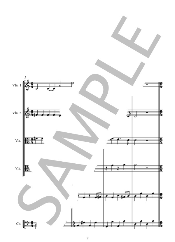 ONE TOY SOLDIER (ENYA) / アンサンブル弦楽 中〜上級 - サンプル譜面 2/5