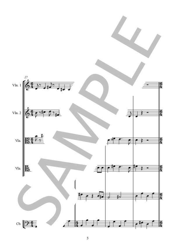 ONE TOY SOLDIER (ENYA) / アンサンブル弦楽 中〜上級 - サンプル譜面 5/5