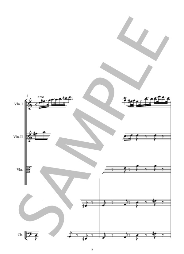 SINFONIA カンタータ  BWV.182  天の王よ、よくぞ来ませリ から (ヨハン・セバスチャン・バッハ) / アンサンブル弦楽 中級 - サンプル譜面 2/5