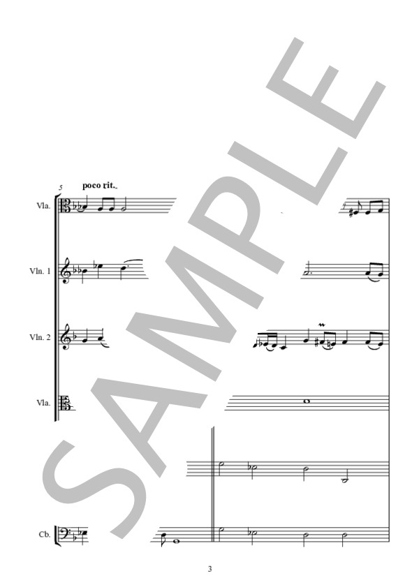 AMARILLI MIA BELLA 麗しのアマリッリ Viola solo ＋ 弦楽アンサンブル版 (ジュリオ・カッチーニ) / アンサンブル弦楽 中〜上級 - サンプル譜面 3/5