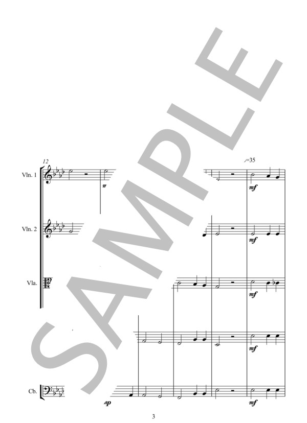 JENER LETZTEN DEL NACHTE 最後の夜に (ANTON・BRUCKNER) / アンサンブル弦楽 中級 - サンプル譜面 3/5