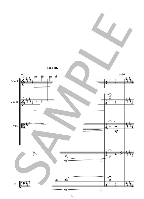 THEME FROM COCOON 映画「コクーン」から (ジェームズ・ホーナー) / アンサンブル弦楽 中〜上級 - サンプル譜面 5/5