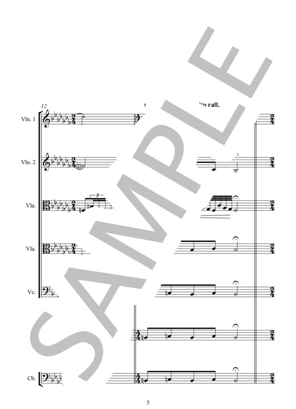 ⑦  / 11 SALIME'S DANCE サロメの踊り (ミクロス・ローザ) / アンサンブル弦楽 中〜上級 - サンプル譜面 5/5