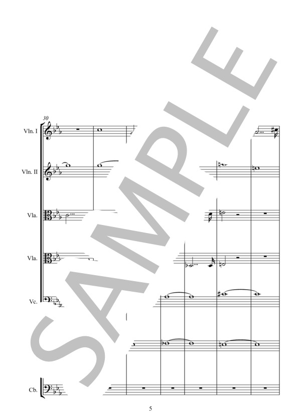 SYMPHONY No.4 交響曲第4番ニ短調（ロマンティック) 弦楽アンサンブル (弦楽七重奏) 版 (ANTON・BRUCKNER) / アンサンブル弦楽 中〜上級 - サンプル譜面 5/5