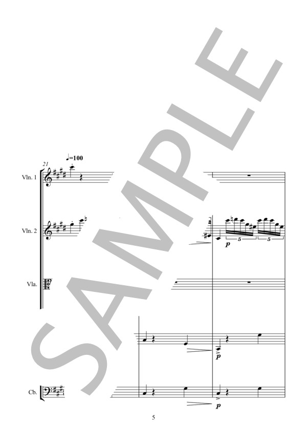 MALAGUENA from ANDALUCIA "SUITE ESPAGNOLA" for STRING ENSEMBLE  マラゲーニャ 弦楽アンサンブル版 (ERNSTO・LECUONA) / アンサンブル弦楽 中〜上級 - サンプル譜面 5/5