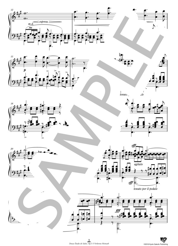 12のサロン用エチュード 作品5 第5番 失われた祖国 (アドルフ・フォン・ヘンゼルト) / ピアノソロ 中〜上級 - サンプル譜面 3/5