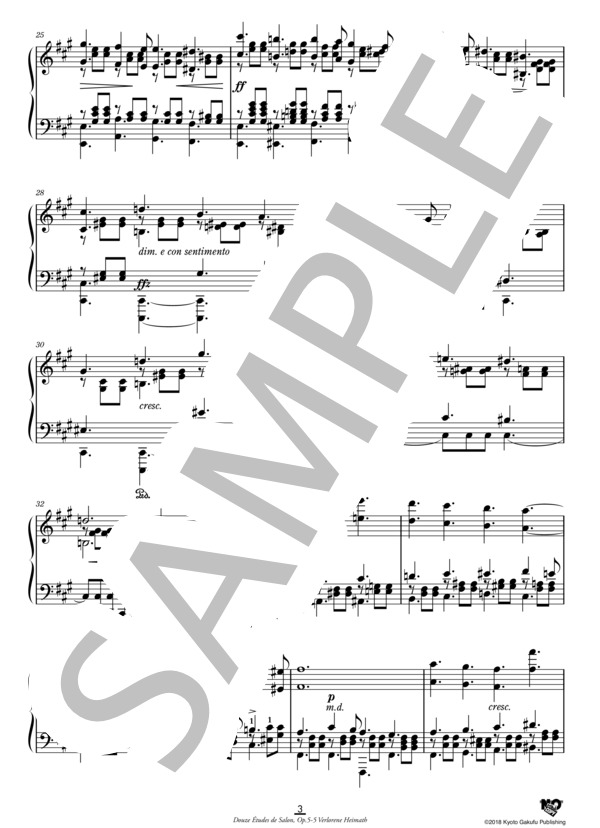 12のサロン用エチュード 作品5 第5番 失われた祖国 (アドルフ・フォン・ヘンゼルト) / ピアノソロ 中〜上級 - サンプル譜面 4/5