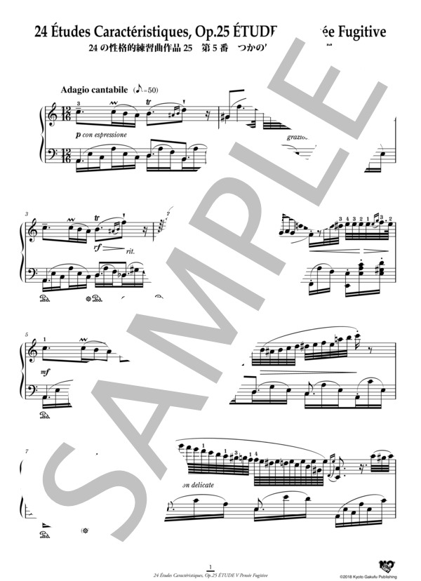 24の性格的練習曲 作品25 第5番 つかの間の楽想 イ短調 (アントワーヌ・マルモンテル) / ピアノソロ 中〜上級 - サンプル譜面 2/5