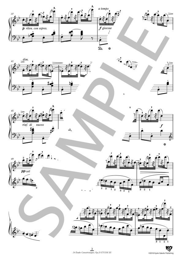 24の性格的練習曲 作品25 第20番 変ロ長調 (アントワーヌ・マルモンテル) / ピアノソロ 中〜上級 - サンプル譜面 4/5