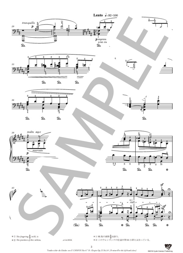 ショパンのエチュードによる練習曲 ショパンの作品25-10による ［ロ短調 / 左手独奏のための］ (レオポルド・ゴドフスキー) / ピアノソロ 中〜上級 - サンプル譜面 4/5