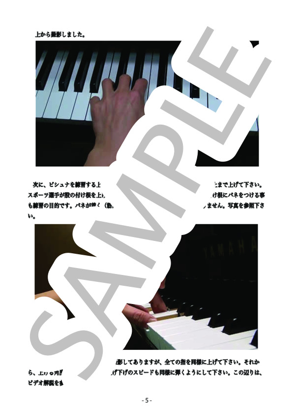 ピシュナ練習法 (ヨセフ・ ピシュナ) / ピアノソロ 中級 - サンプル譜面 5/5