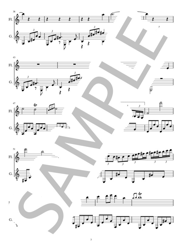 ノクターン第20番(2重奏 フルート、クラシックギター） (ショパン) / バンドスコア 初〜中級 - サンプル譜面 3/5