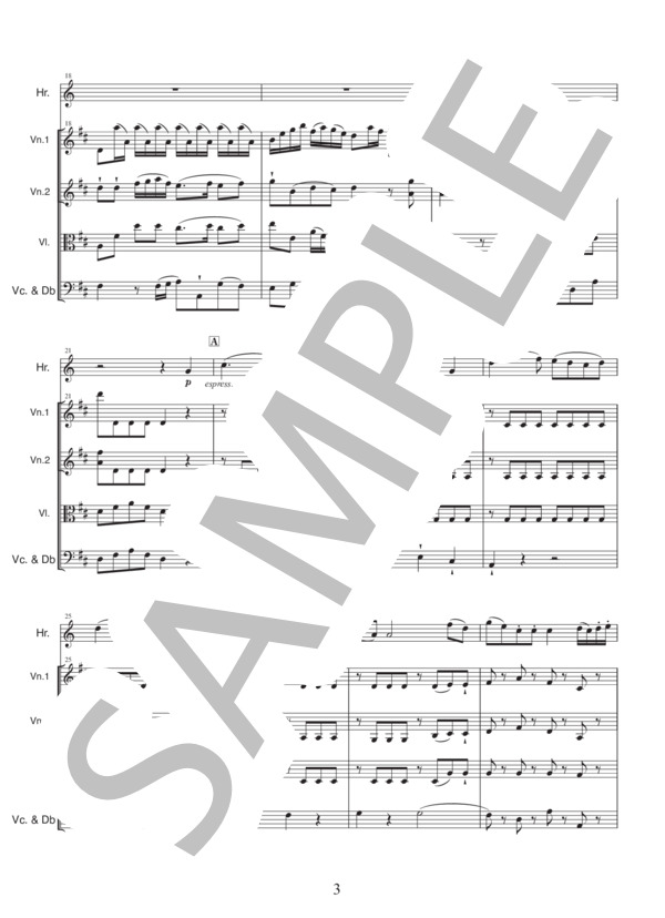 ホルン協奏曲第1番 第1楽章 ホルンソロ+弦楽五重奏 (ヴォルフガング・アマデウス・モーツァルト) / 上級 - サンプル譜面 4/5