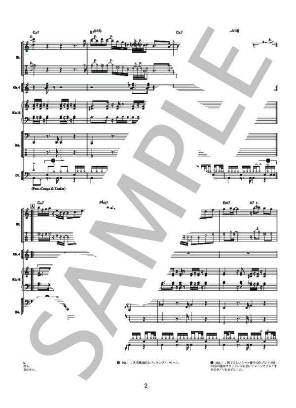 楽譜】TWINKLE VISIONS / CASIOPEA (バンドスコア / その他