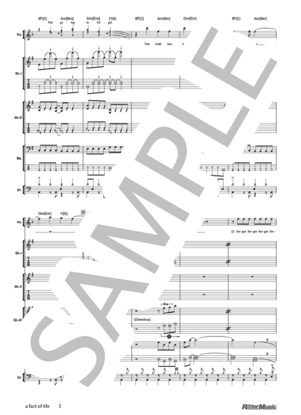 sfp/amp-reflection/バンドスコア SFP「Amp-Reflection」 バンド・スコア(楽譜)
