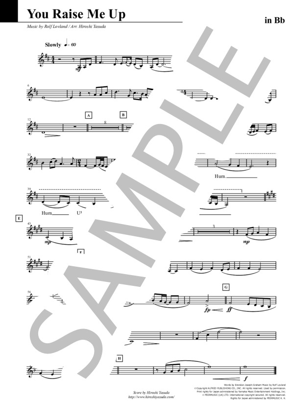 You Raise Me Up (Inst Solo) (SECRET GARDEN) / その他 中級 - サンプル譜面 2/4