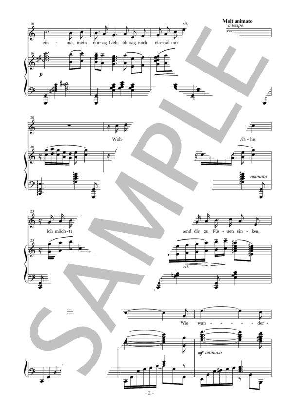 Dein ist mein ganzes hertz 君は僕の心のすべて ハ長調 (フランツ・レハール) / アンサンブルピアノ＋歌 中級 - サンプル譜面 2/5