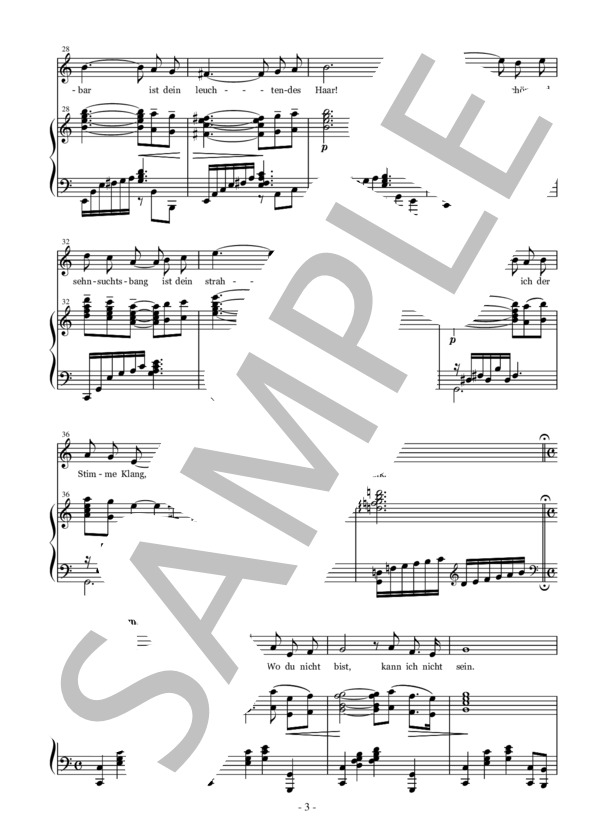 Dein ist mein ganzes hertz 君は僕の心のすべて ハ長調 (フランツ・レハール) / アンサンブルピアノ＋歌 中級 - サンプル譜面 3/5