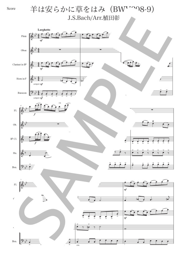 羊は安らかに草を食み Schafe Können sicher weiden(BWV208-9)木管5重奏編曲版 (ヨハン・セバスチャン・バッハ) / アンサンブル木管 中級 - サンプル譜面 1/5