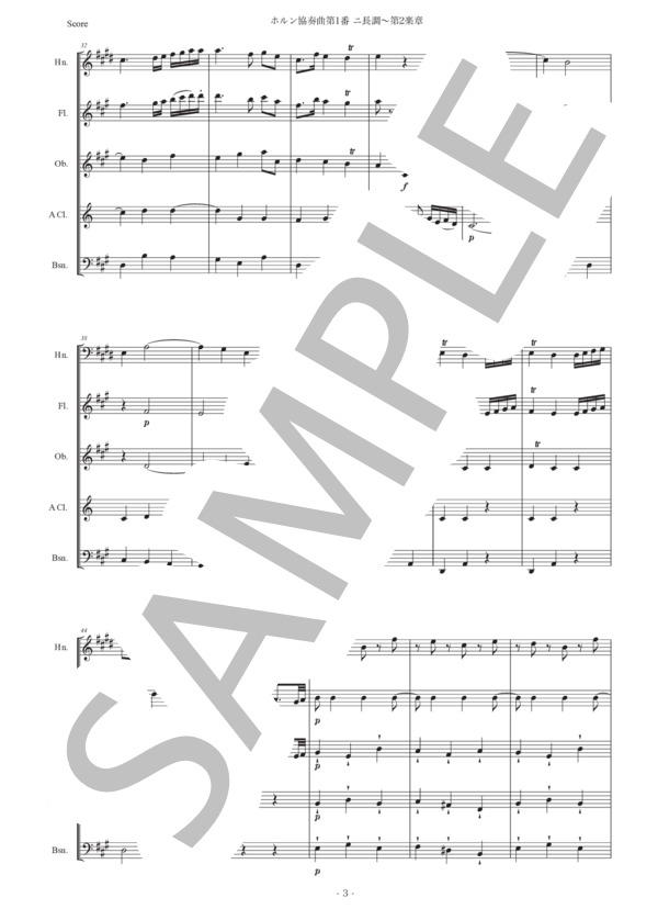 ハイドン「ホルン協奏曲第1番ニ長調〜第2楽章」木管五重奏版 (フランツ・ヨーゼフ・ハイドン) / アンサンブル木管 初〜中級 - サンプル譜面 3/5
